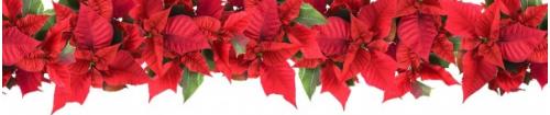 Christmas Border